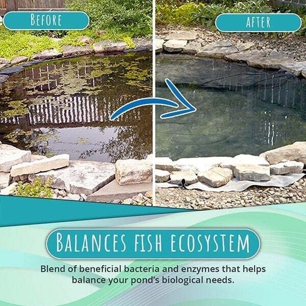 1+1 Free |  Algae Repellent Powder